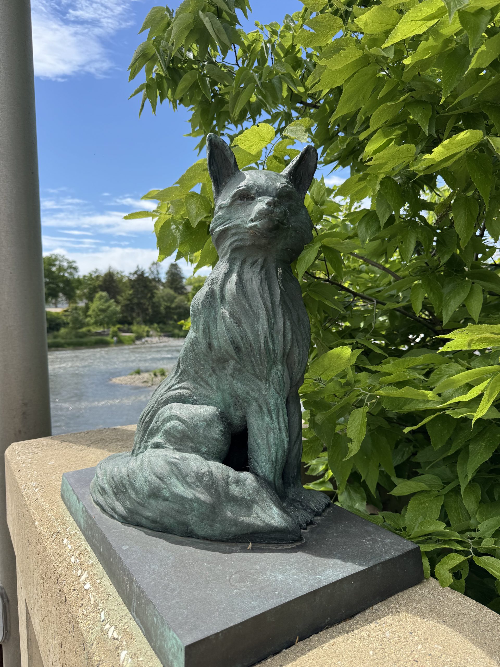 Fox Statue along the Fox River in North Aurora Illinois on a sunny day